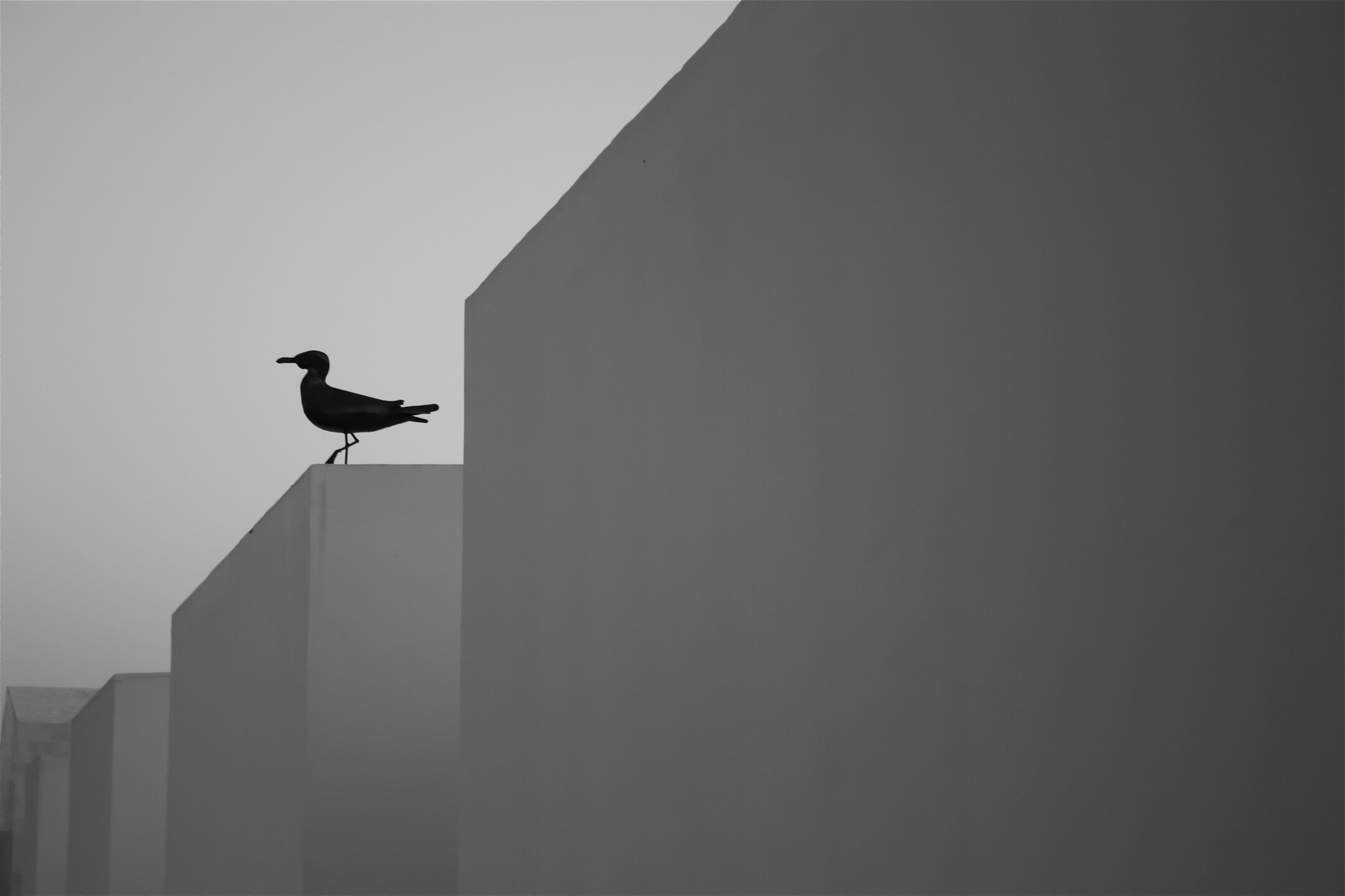 Romance Urbaine 07