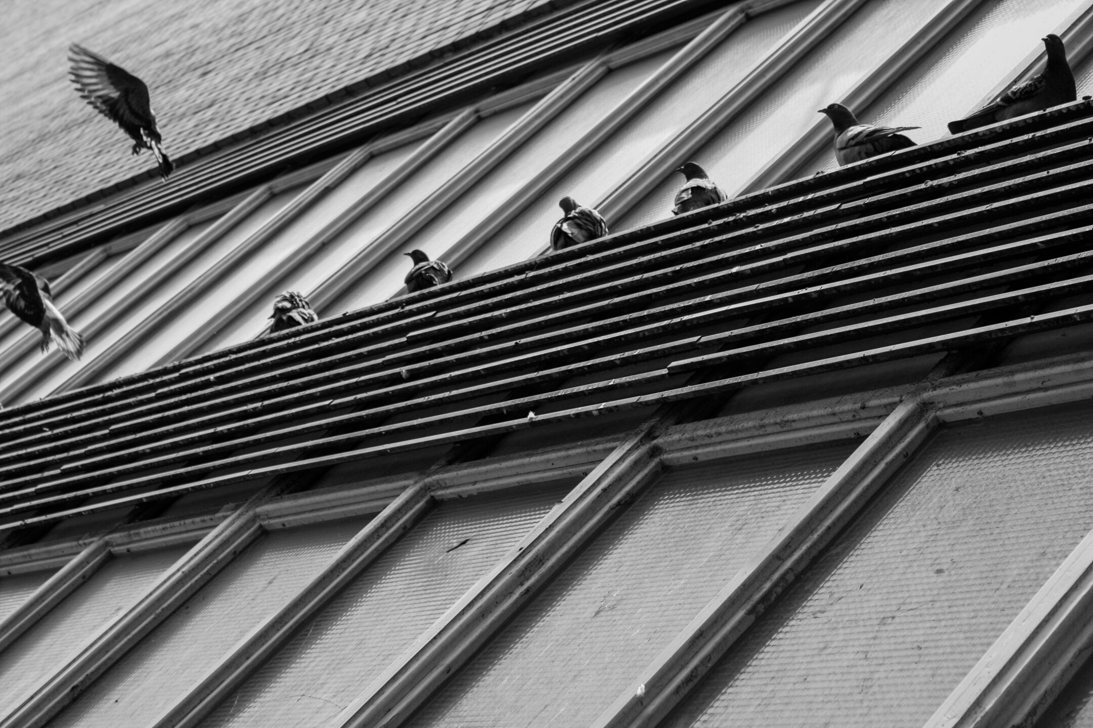 Romance Urbaine 09