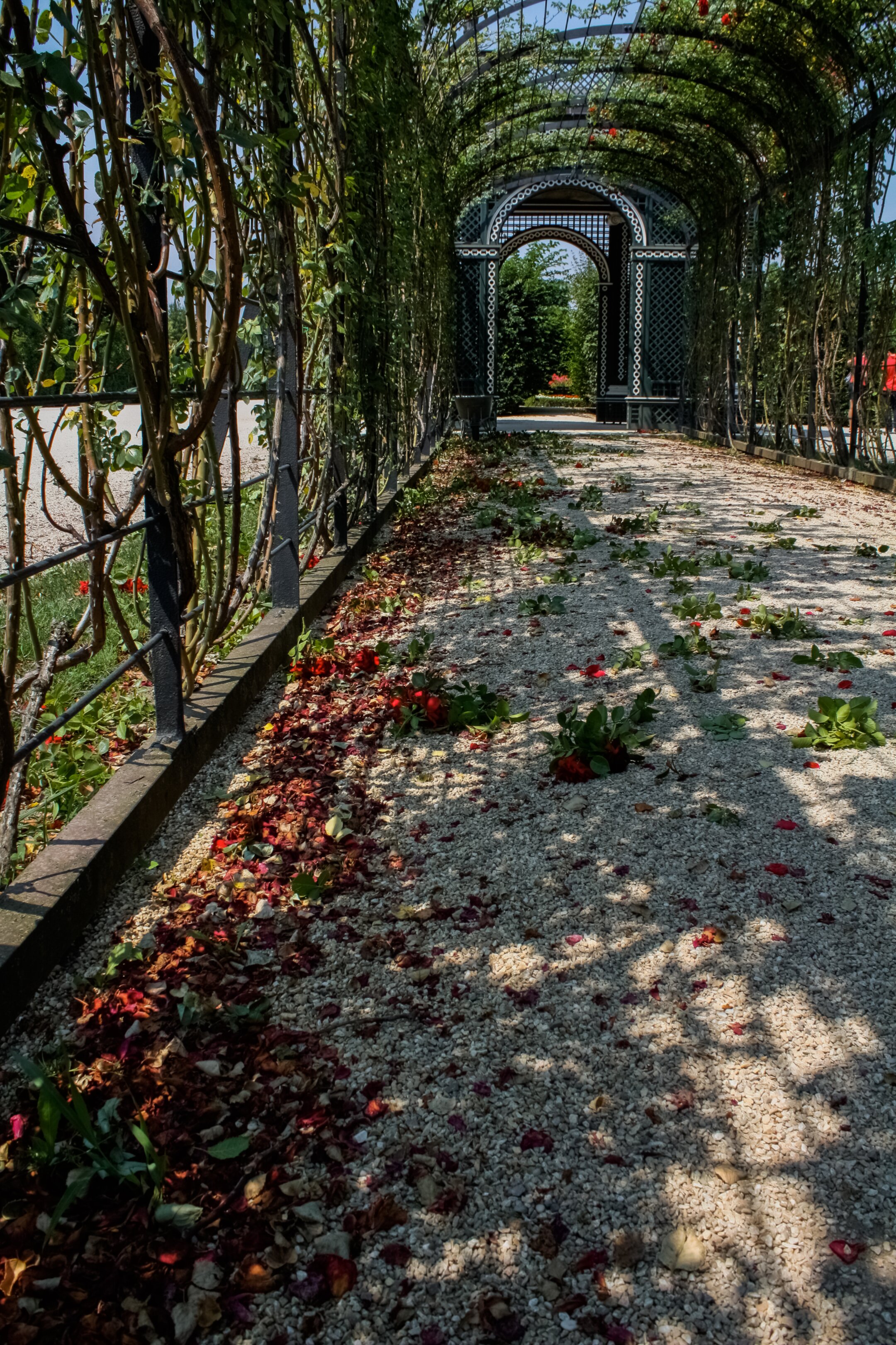 Romance Urbaine 11
