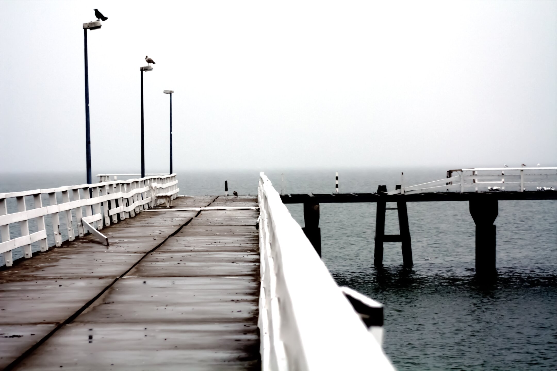Seaside Scenes