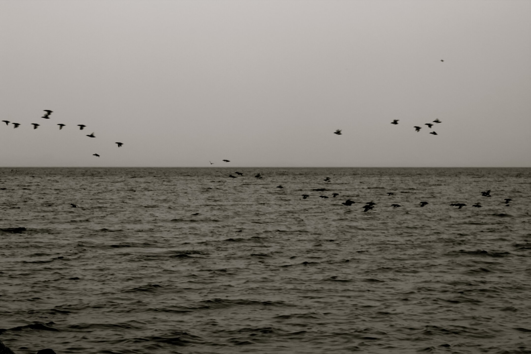 Seaside Scenes 03 1
